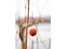 Boosterované boilies 20 mm - skunk